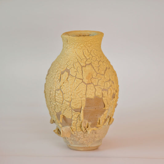 Fragile Vase